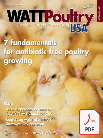 Fundamentals of Antibiotic-free Poultry Growing 2020