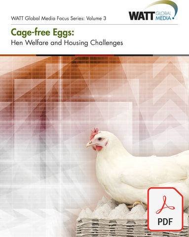 Cage-free Eggs: Hen Welfare and Housing Challenges